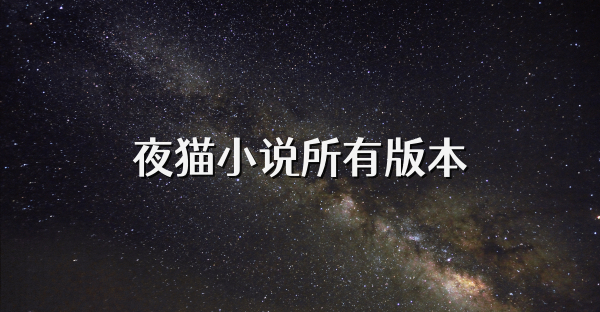 夜貓小說所有版本