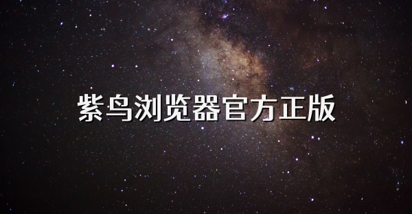 紫鳥瀏覽器官方正版