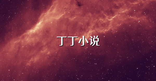 丁丁小說