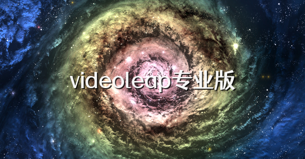 videoleap专业版