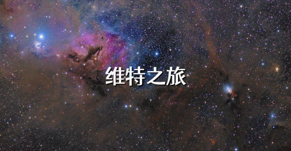 維特之旅