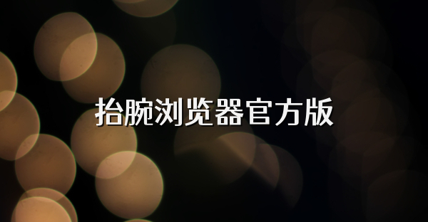 抬腕瀏覽器官方版