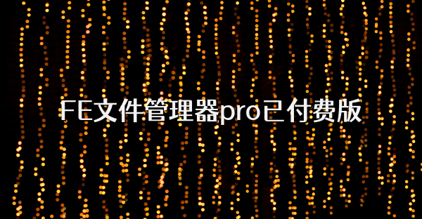 FE文件管理器pro已付費(fèi)版