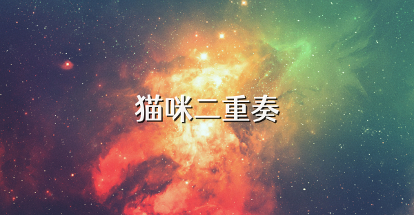 猫咪二重奏