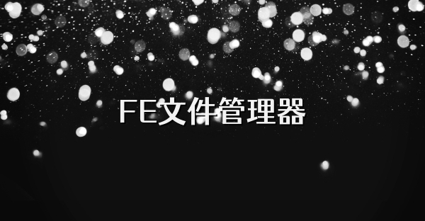FE文件管理器