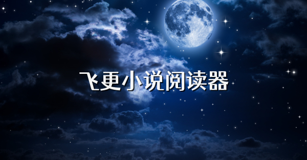 飞更小说阅读器