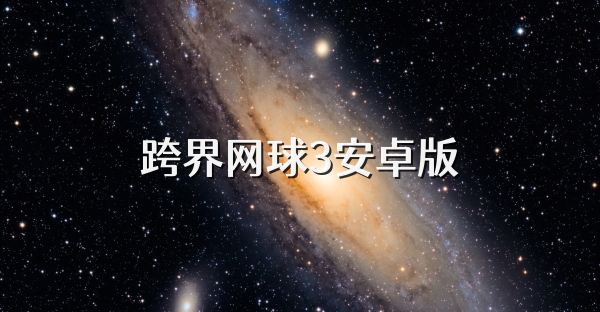 跨界網球3安卓版
