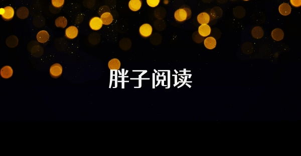 胖子阅读