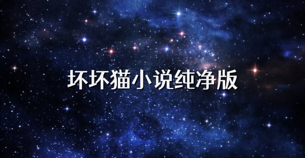 壞壞貓小說純凈版