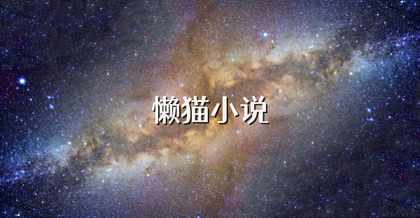 懒猫小说