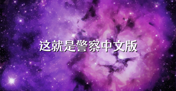 這就是警察中文版