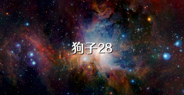 狗子28