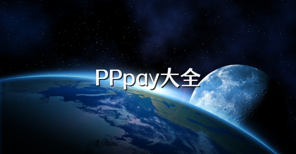 PPpay大全