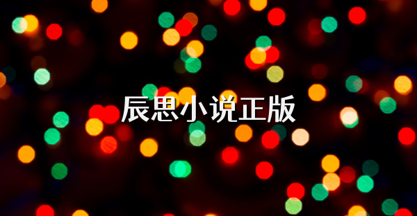 辰思小說正版