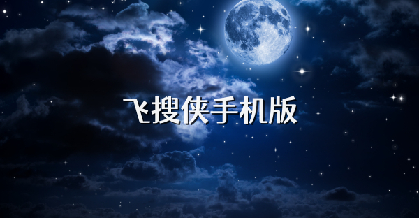 飛搜俠手機版