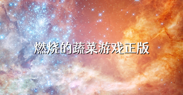 燃燒的蔬菜游戲正版