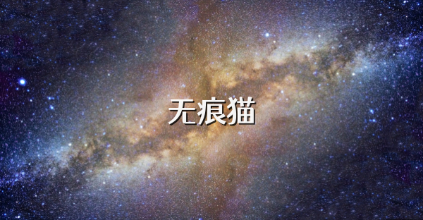 無(wú)痕貓