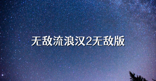 無敵流浪漢2無敵版