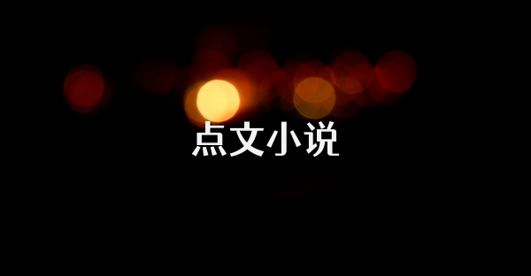 点文小说