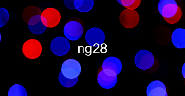 ng28