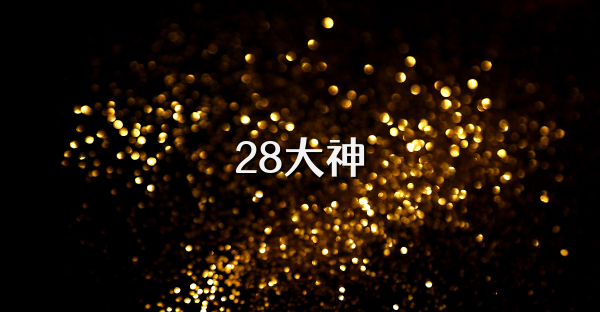 28大神
