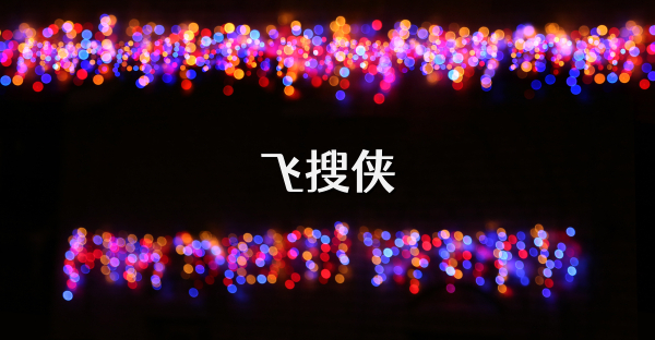 飛搜俠