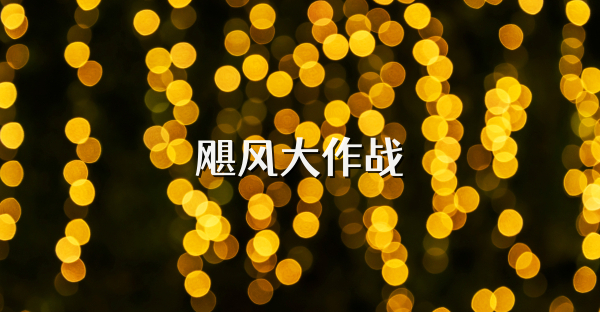 颶風大作戰