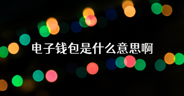 電子錢包是什么意思啊
