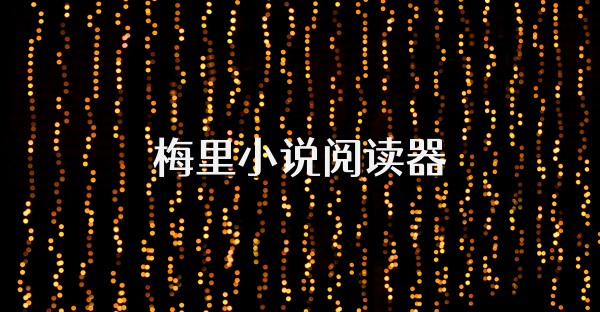 梅里小說閱讀器