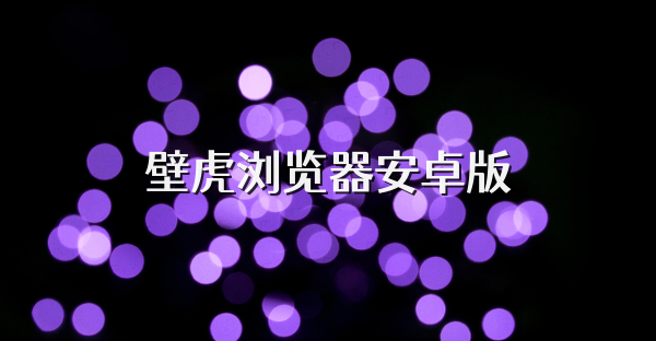 壁虎瀏覽器安卓版