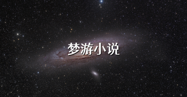 梦游小说