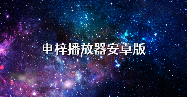 電梓播放器安卓版