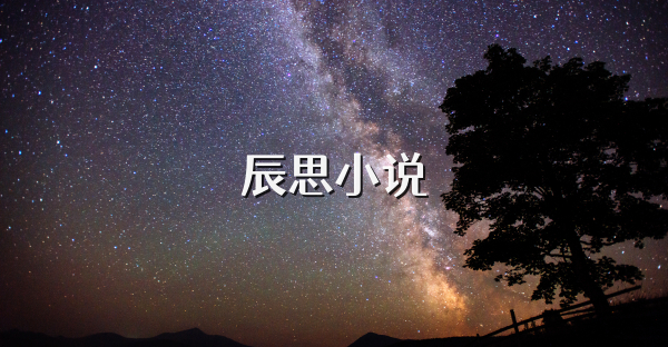 辰思小说