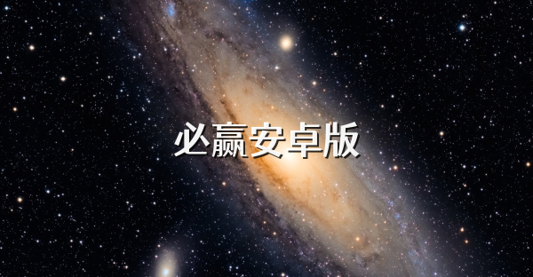 必贏安卓版