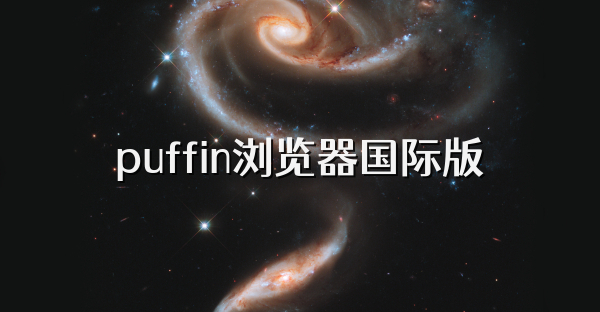 puffin浏览器国际版
