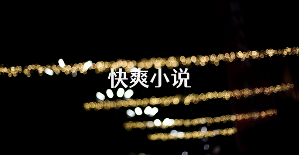 快爽小說