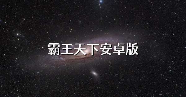 霸王天下安卓版