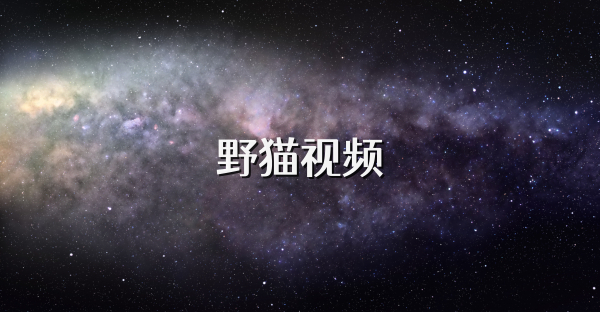 野貓視頻