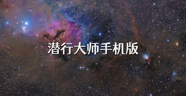 潛行大師手機(jī)版