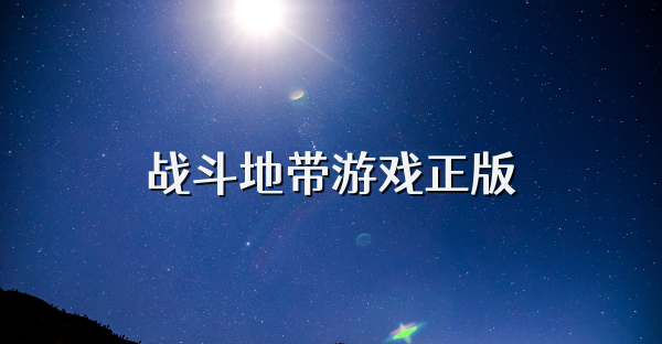 战斗地带游戏正版