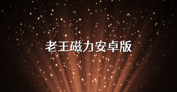 老王磁力安卓版