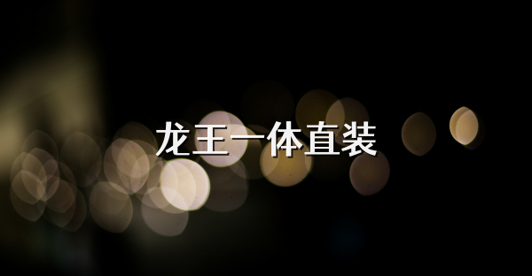 龙王一体直装