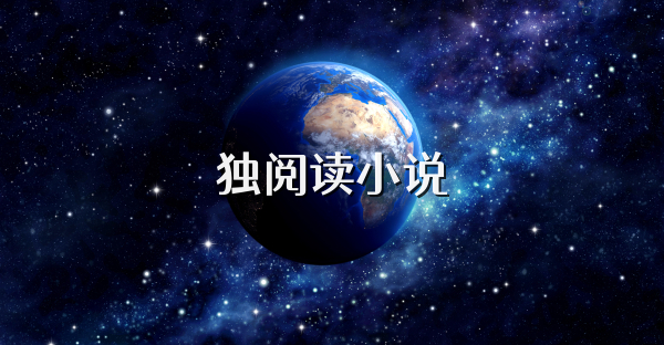 獨(dú)閱讀小說
