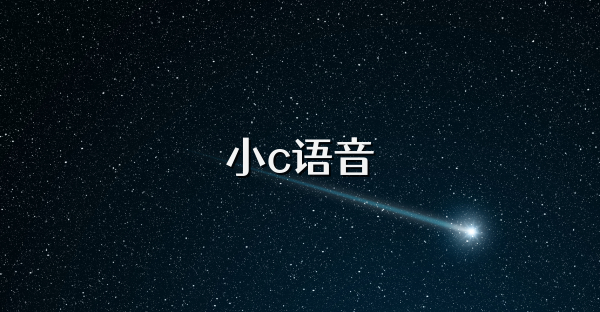 小c语音