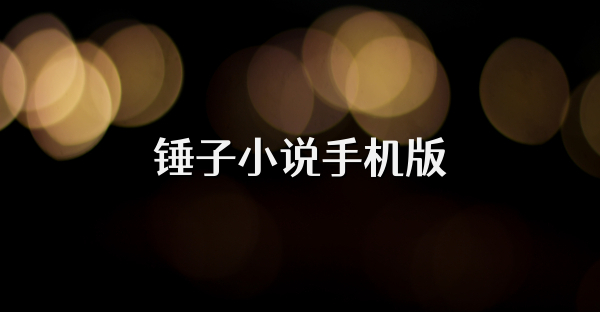 錘子小說手機版