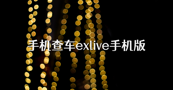 手机查车exlive手机版