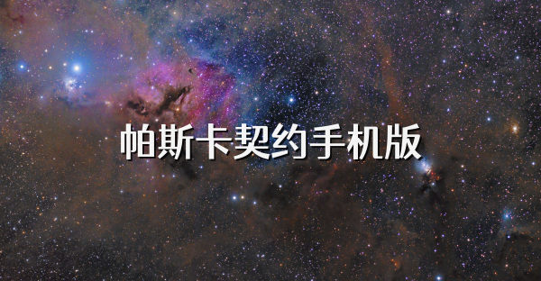 帕斯卡契约手机版