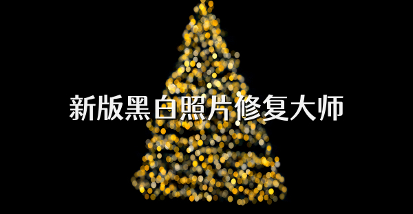 新版黑白照片修复大师