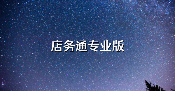 店务通专业版