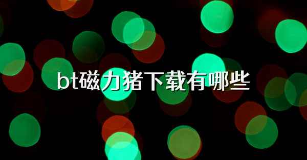 bt磁力猪下载有哪些